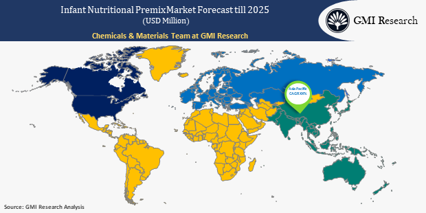 Infant Nutritional Premix Market