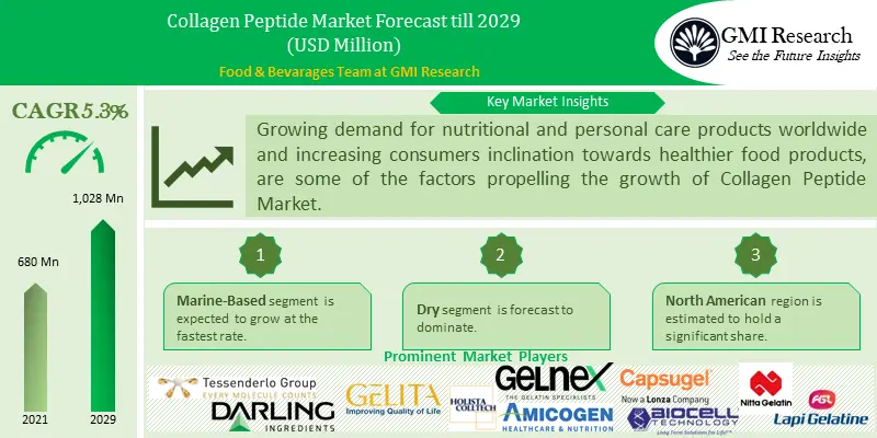 Collagen Peptide Market