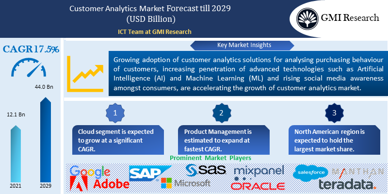Customer Analytics Market
