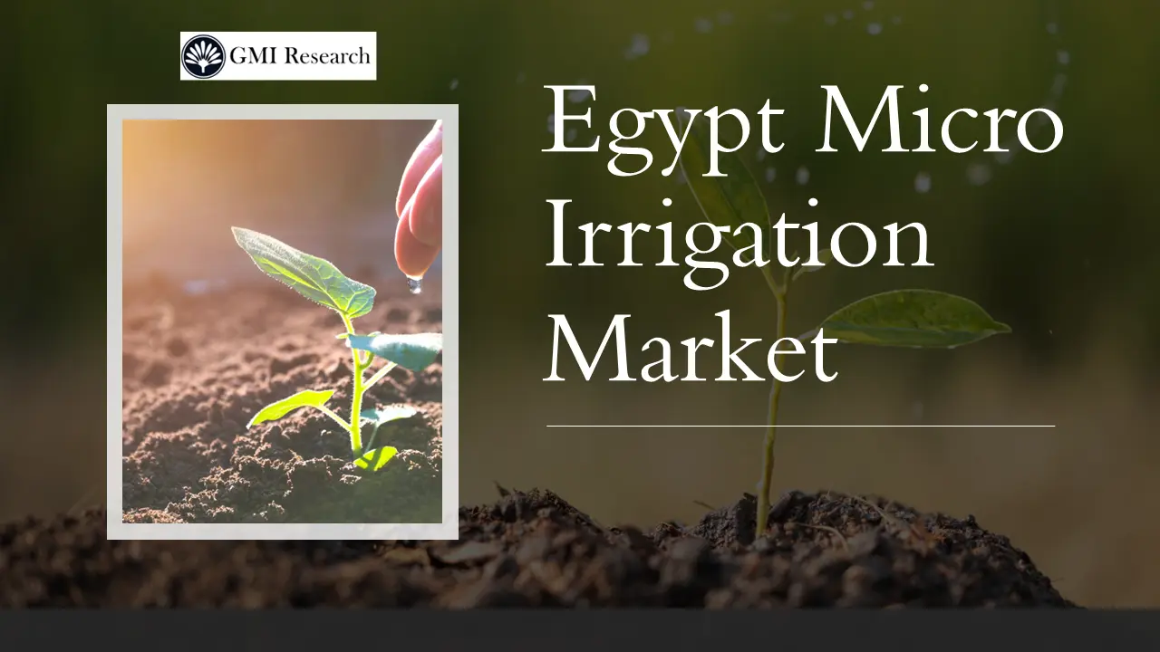 Egypt Micro Irrigation market