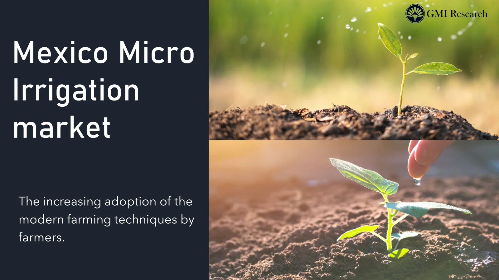 Mexico Micro Irrigation Systems Market